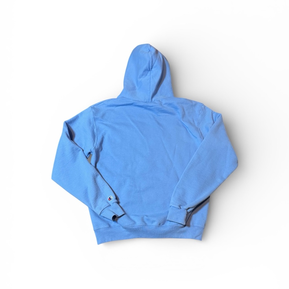 Champion 10th Mountain Sky Blue Graphic Hoodie Mens Size Medium - Picture 5 of 15